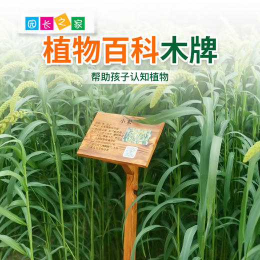 植物百科木牌 商品图4