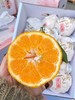 周三取货：【匠心级礼盒春见】一盒毛重8斤左右，果肉饱满，好吃不上火！ 超甜！超嫩！甜蜜多汁！ 商品缩略图2