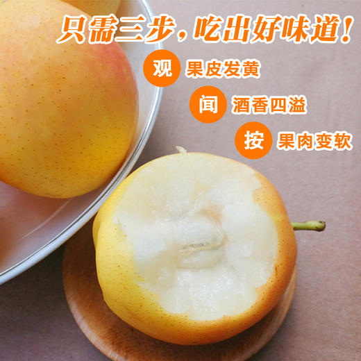 鞍山南果梨5斤 商品图1
