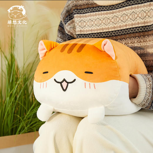 【抱枕全家福】如果历史是一群喵肥志官方周边毛绒靠垫头枕背枕 商品图1