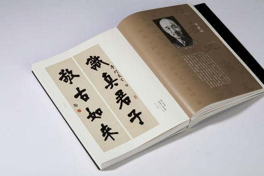 【预售1月21日发货！】百川入海——20世纪海上代表性书家作品萃编 商品图1