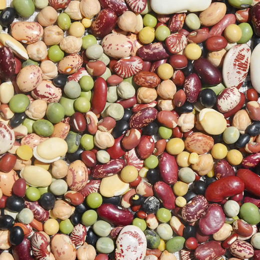 昔日印象杂粮米饭 杂豆混合 豆浆豆五谷杂粮粗粮八宝粥豆浆豆子早餐 商品图2