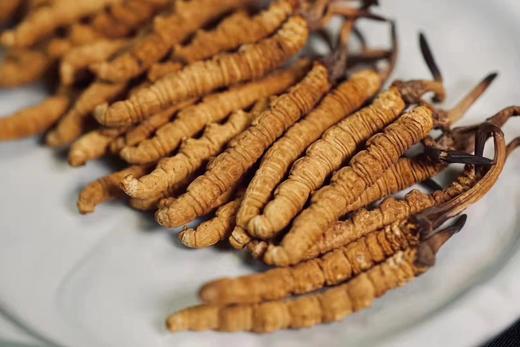 【年货节】虫草燕窝大团圆礼盒 商品图2