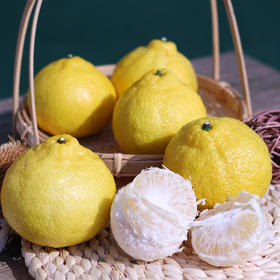 象山青（黄金贡柚）