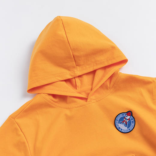 贝贝怡男童卫衣春秋新款上衣服儿童中大童宝宝洋气套头连帽衫 商品图6