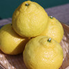 象山青（黄金贡柚） 商品缩略图5