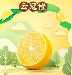 褚氏农业 云冠橙10斤珍品型礼盒装
