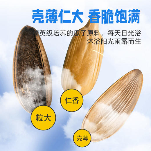 【拼团巨惠】越远熊追不舍袋装瓜子山核桃味葵花籽海盐味炒货焦糖味休闲零食80g*6包 商品图2