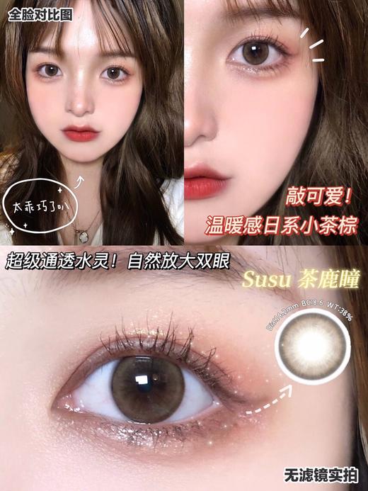 【日抛】Susu·苏苏茶鹿棕·Bebebest丨14.2mm（日抛/一盒10片装） 商品图11