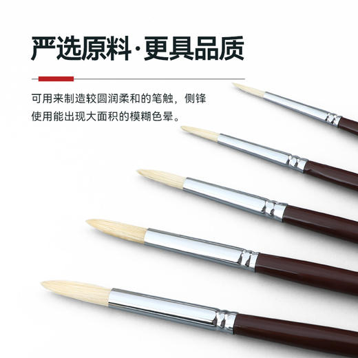 中盛画材 1650圆头猪鬃桦木UV漆杆油画笔 水粉笔 丙烯画笔 商品图4