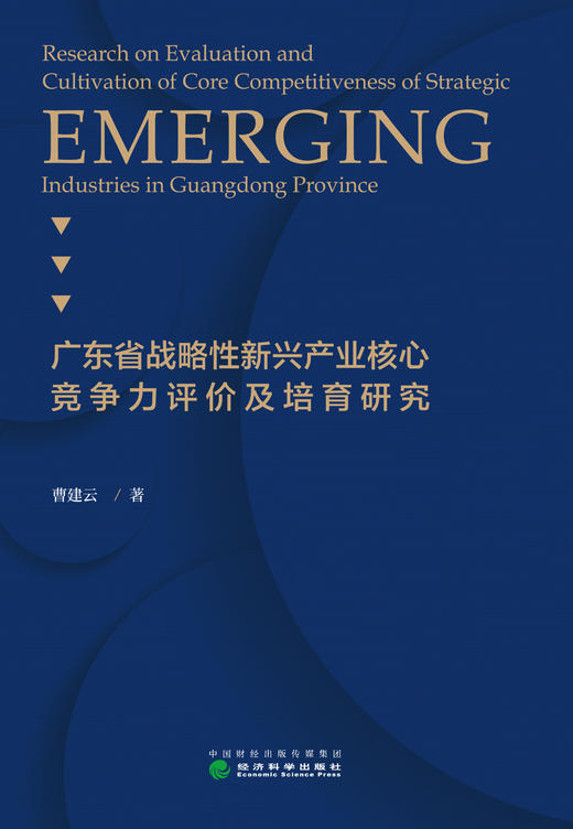 广东省战略性新兴产业核心竞争力评价及培育研究 商品图1