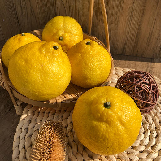 象山青（黄金贡柚） 商品图9