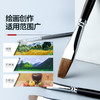 中盛画材 狼毫油画笔套装 平峰水粉笔单支 考试用油画笔102 商品缩略图3