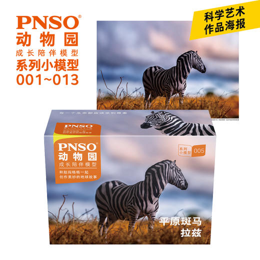 PNSO非洲动物明星小模型13件动物园成长陪伴儿童益智玩具001~013 商品图2