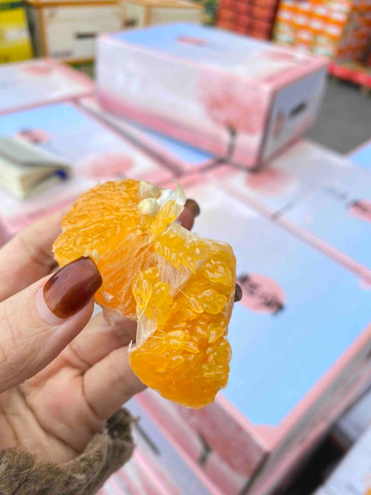 周三取货：【匠心级礼盒春见】一盒毛重8斤左右，果肉饱满，好吃不上火！ 超甜！超嫩！甜蜜多汁！ 商品图3