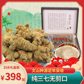 【年后礼盒-文山三七】【云南文山直发】三七头无剪口25头500克礼盒装（可磨三七粉）