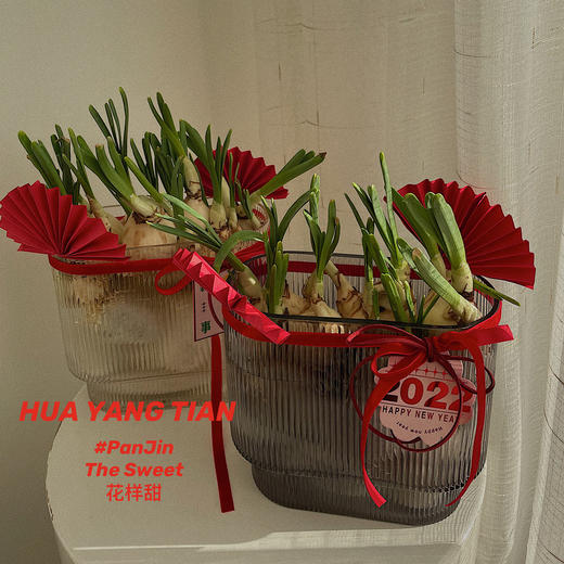 期待花开  新年水仙 · 瓶插花  含花瓶 商品图3