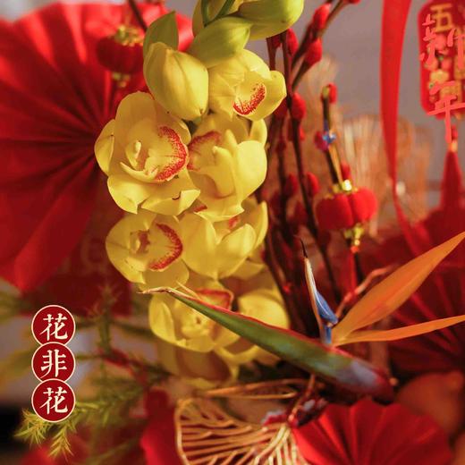 《五福临门旺旺》-五代果蕙兰高级年宵花
宽50×高50（cm） 商品图3