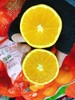 冰糖橙一袋（拼团） 商品缩略图1
