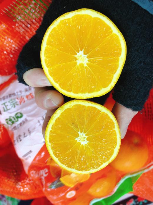 冰糖橙一袋（拼团） 商品图1
