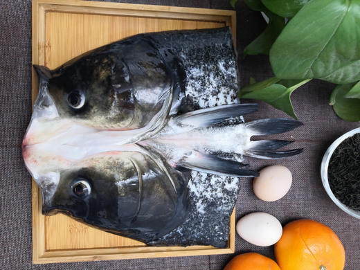 千岛湖 野生胖头鱼  肉质细腻鲜美 商品图2