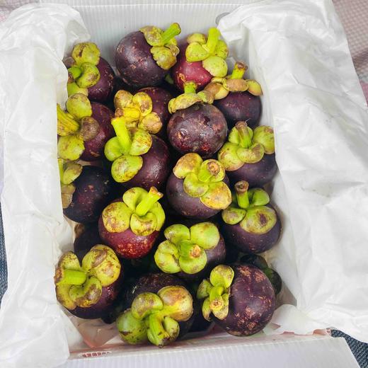 泰国空运4A山竹，5斤礼盒装一箱 商品图11