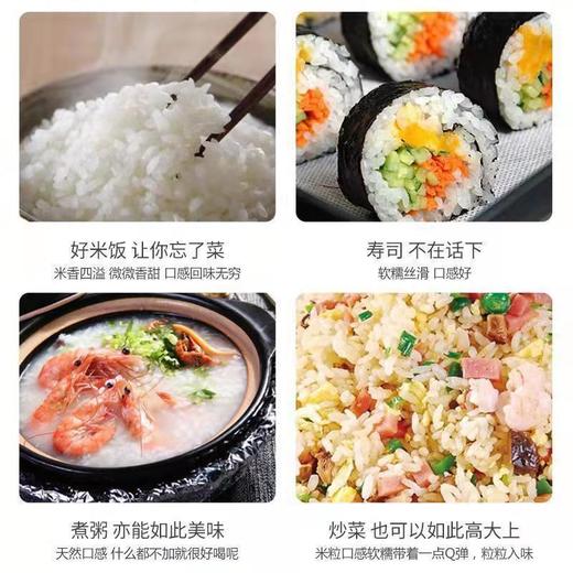 85折钜惠上线！仅售89/原价105 展鹏稻花香二号10KG 商品图1