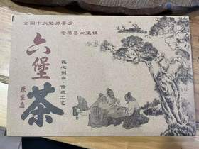 农家六堡老茶婆·八年