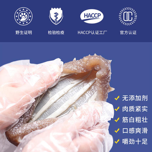 韩国 野生海参 即开即食滋补养生 商品图2