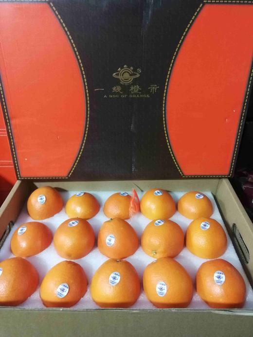 香妃橙1箱15个果颜色随机