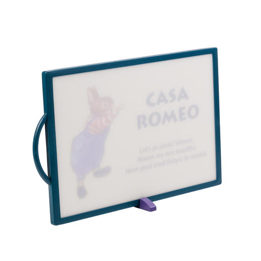 【韩国原装进口】纳米银离子罗密欧兔子菜板 商品图4