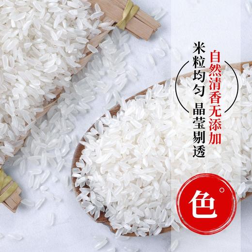 85折钜惠上线！仅售89/原价105 展鹏稻花香二号10KG 商品图5