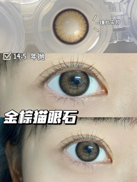 超高舒适度丨DK G327·Deekay丨金棕猫眼石14.5mm(年抛/2片装） 商品图0