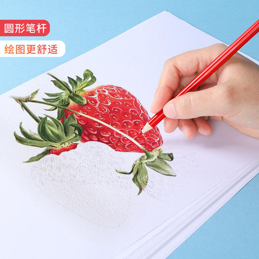 【迪士尼冰雪油性彩铅套装】12色儿童彩色铅笔小学生48涂鸦素描填色绘画笔 商品图2