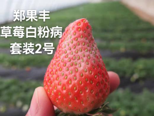 草莓白份病治疗套装2号（乙嘧酚磺酸酯+生物硫磺+有机硅）每套10喷雾器 商品图1