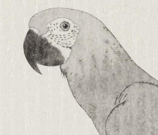 李军 | 《Face To  —5b》 纸本水墨 60cm×60cm 商品图2