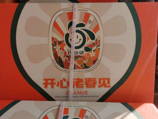 开心佬耙耙柑春见礼盒 商品图1