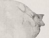 李军 |《Face To 2019（9）》纸本水墨 80cm×108cm 商品缩略图7