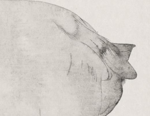 李军 |《Face To 2019（9）》纸本水墨 80cm×108cm 商品图7