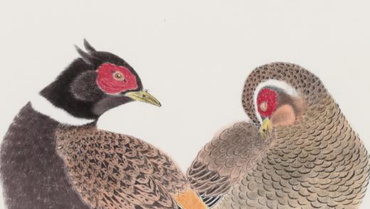 金喦 工笔花鸟04 136cmx68cm 8平尺 商品图6