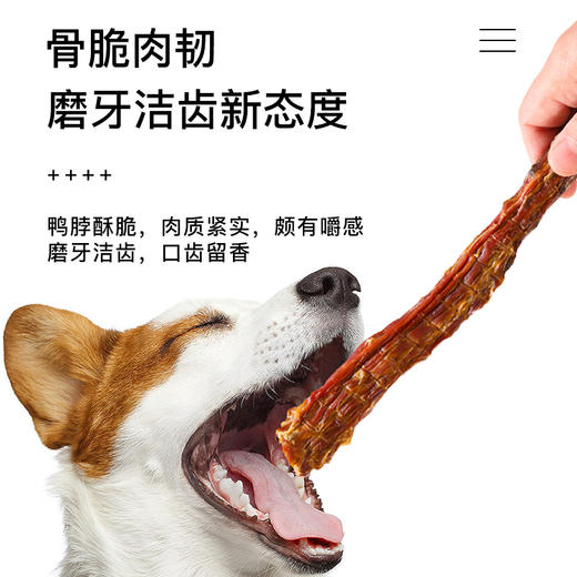 麦斯蒂风干鸭脖单支装 无添加 狗狗洁齿骨头 耐咬 网红骨头 商品图2