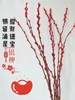 年宵花—招财银柳（云南） 商品缩略图1