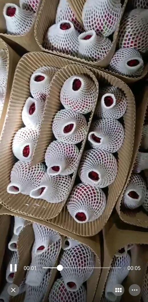 自由女神 商品图0