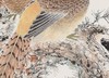 金喦 工笔花鸟01 136cmx68cm  8平尺 商品缩略图3
