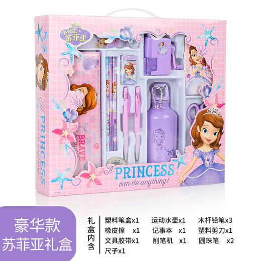 【迪士尼文具套装礼盒】小学生开学礼品幼儿园儿童节奖品生日礼物套盒 商品图14