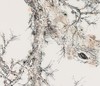 金喦 工笔花鸟01 136cmx68cm  8平尺 商品缩略图7