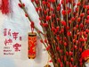 年宵花—招财银柳（云南） 商品缩略图0