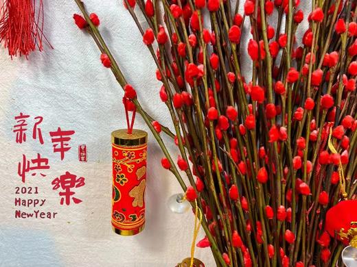 年宵花—招财银柳（云南） 商品图0