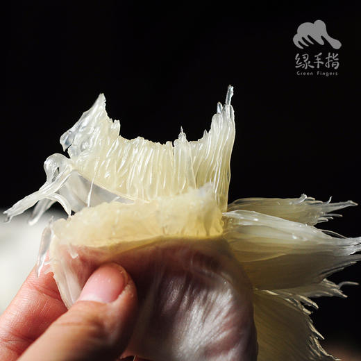 生态沙田柚 | 合作生产 *Ecological Shaddock 商品图6