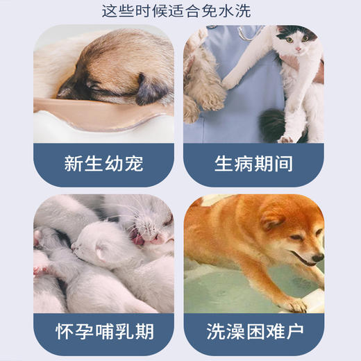 道力其-宠物免洗泡沫-200ml含椰油精华 除臭抑菌 清洁护理 犬猫通用 商品图7